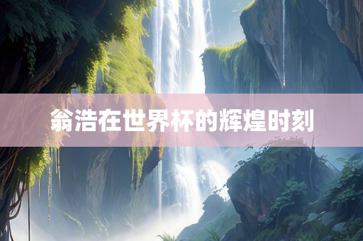 翁浩在世眉山市正发家政服务有限公司界杯的辉煌时刻