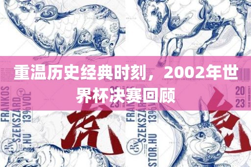 重温历史经眉山市正发家政服务有限公司典时刻，2002年世界杯决赛回顾