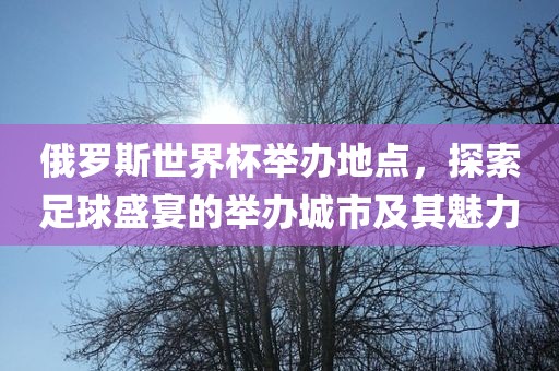 俄罗斯世界杯举办地点，探索足球盛宴的举办城市及其魅力