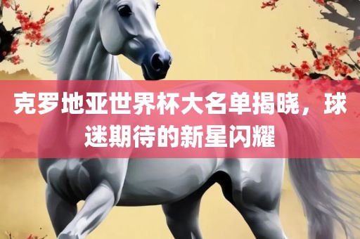 克罗地亚世界杯大名单揭晓，球迷期待的新星闪眉山市正发家政服务有限公司耀