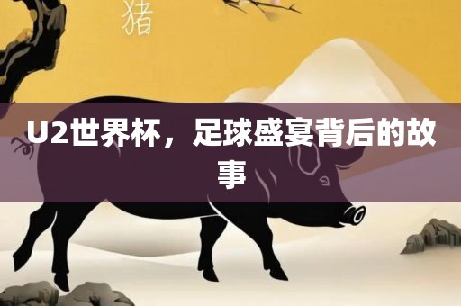 U2世界杯，足球盛宴背后的故事眉山市正发家政服务有限公司