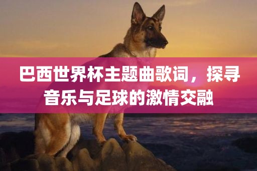 巴西世界杯主题曲歌词，探寻音乐与足球的激情交融