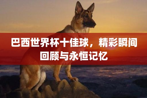 巴西世界杯十佳球，眉山市正发家政服务有限公司精彩瞬间回顾与永恒记忆
