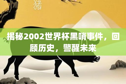 揭秘2002世界杯黑哨事件，回顾历史，警醒未来