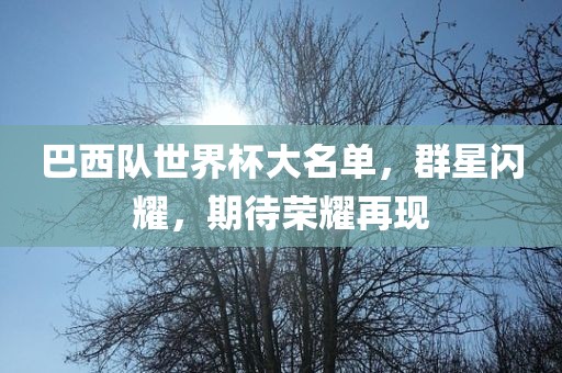 巴西队世界杯大名单，群星闪耀，期待荣耀再现眉山市正发家政服务有限公司