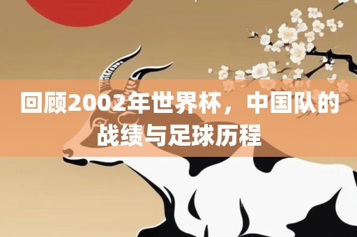 回顾2002年世界杯，中国队的战绩与足球历程