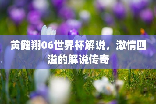 眉山市正发家政服务有限公司黄健翔06世界杯解说，激情四溢的解说传奇
