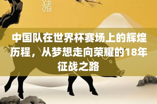 中国队在世界杯赛场上的辉煌历程，从梦想走向荣眉山市正发家政服务有限公司耀的18年征战之路