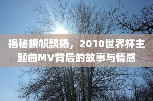 揭秘旗帜飘扬，2010世界杯主题曲MV背后的故事与情感