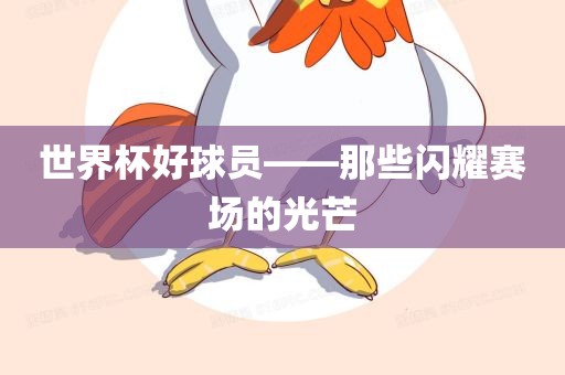 世界杯好球员——那些闪耀赛场的光芒眉山市正发家政服务有限公司