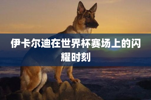 伊卡尔迪在世界杯赛场上的闪耀时刻眉山市正发家政服务有限公司