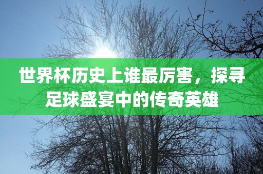 世界杯历史上谁最厉害，探寻足球盛宴中的传奇英雄眉山市正发家政服务有限公司