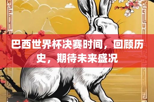 巴西世界杯决赛时间，回顾历史，眉山市正发家政服务有限公司期待未来盛况