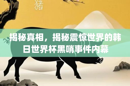 揭秘真相，揭秘震惊世界的韩日世界杯黑哨事件内幕