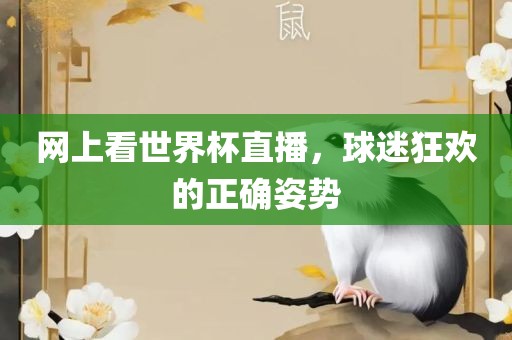 网上看世界杯直播眉山市正发家政服务有限公司，球迷狂欢的正确姿势