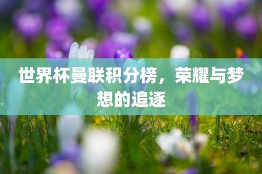 世界杯曼联积分榜，荣耀与梦想的追逐眉山市正发家政服务有限公司