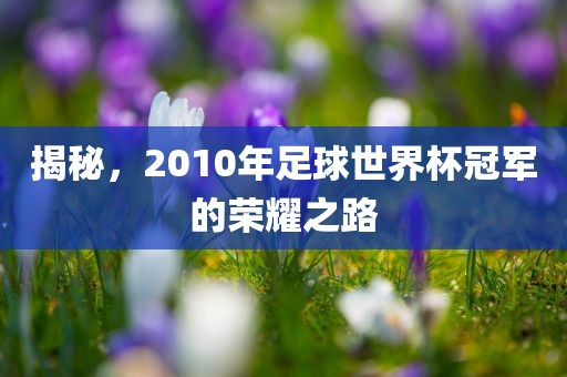 揭秘，2010年足球世界杯冠军的荣耀之路