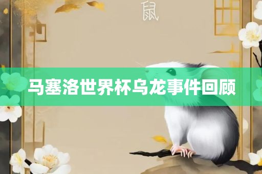 马塞洛世界杯眉山市正发家政服务有限公司乌龙事件回顾