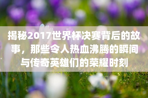 揭秘201眉山市正发家政服务有限公司7世界杯决赛背后的故事，那些令人热血沸腾的瞬间与传奇英雄们的荣耀时刻