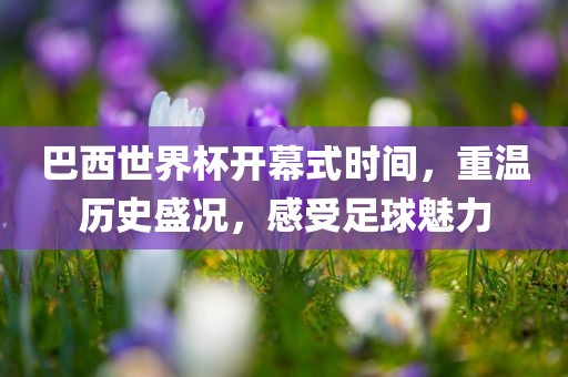 巴西世界杯开幕式时间，重温历史盛况，感受足球魅力