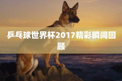 乒乓球世界杯2017精彩瞬间回顾眉山市正发家政服务有限公司