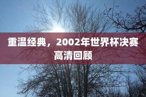 重温经典，2002年世界杯决赛高清回顾眉山市正发家政服务有限公司
