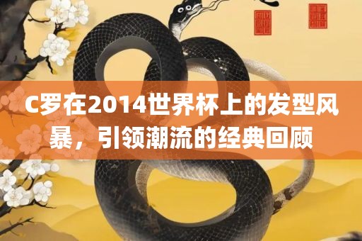C罗在2014世界杯上的发型风暴，引领潮流的经典回顾眉山市正发家政服务有限公司