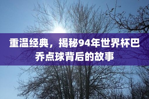 重温经典，揭秘94年世界杯巴乔点球背后的眉山市正发家政服务有限公司故事