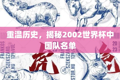 重温历史，揭秘2002世界杯中国队名单眉山市正发家政服务有限公司