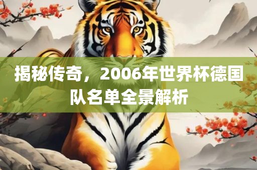 揭秘传奇，2006年世界杯德国队名单全景解析眉山市正发家政服务有限公司