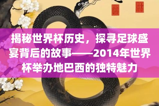 揭秘世界杯历史，探寻足球盛宴背后的故事——2014年世界杯举办地巴西的独特魅力眉山市正发家政服务有限公司