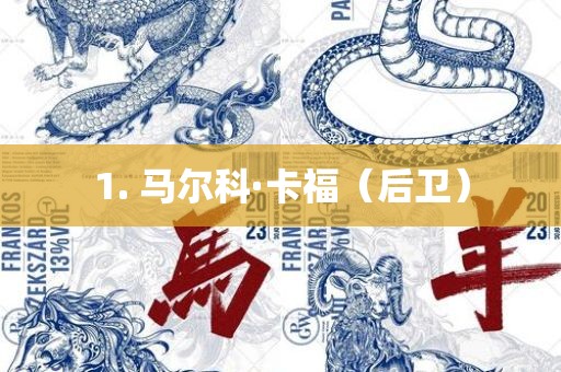 1. 马尔眉山市正发家政服务有限公司科·卡福（后卫）