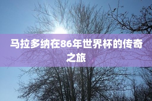 马拉多纳在86年世界杯的传奇之旅眉山市正发家政服务有限公司