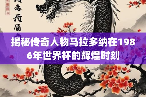 揭秘传奇人物马拉多纳在1986年世界杯的辉煌时刻眉山市正发家政服务有限公司