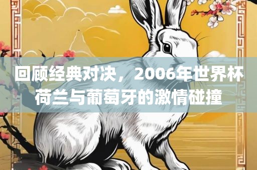 回顾经典对决，眉山市正发家政服务有限公司2006年世界杯荷兰与葡萄牙的激情碰撞