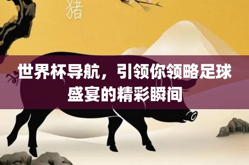 世界杯导航，引领你领略足球盛宴眉山市正发家政服务有限公司的精彩瞬间