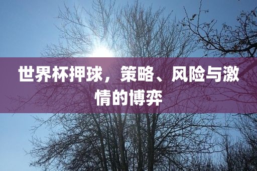 世界杯押球，策略、风眉山市正发家政服务有限公司险与激情的博弈