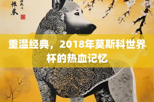 重温经典，2018年莫斯科世界杯的热血记忆