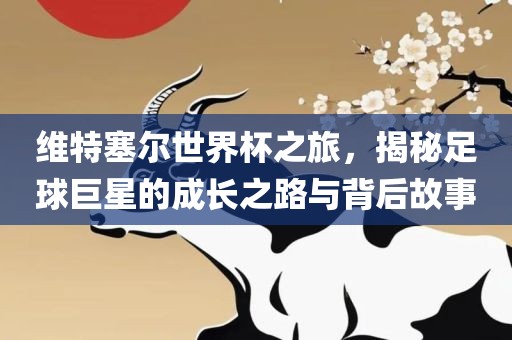 维特塞尔世界杯之旅，揭秘足球巨星的成长之路与背后故事眉山市正发家政服务有限公司