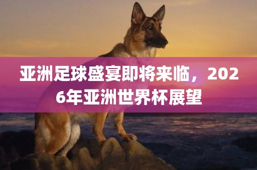 亚洲足球盛宴即将来临，2026年亚洲世界杯展望眉山市正发家政服务有限公司