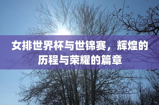 女排世界杯与世锦赛，辉煌的历程与荣耀的篇章
