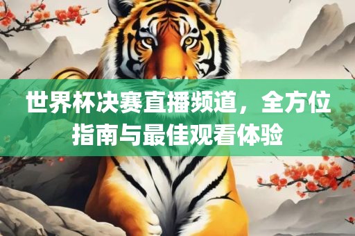世界杯决赛直眉山市正发家政服务有限公司播频道，全方位指南与最佳观看体验