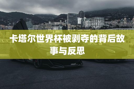 卡塔尔世界杯被剥夺的背后故事与反思眉山市正发家政服务有限公司