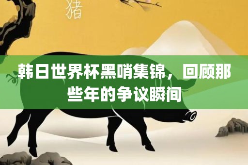 韩日世界杯黑哨集锦，回顾那些年的争议瞬间眉山市正发家政服务有限公司