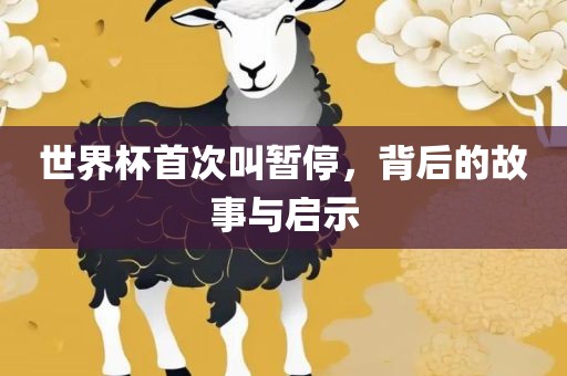 世界杯首次叫暂停，背后的故事与启示