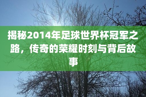 揭秘2014年足球世界杯冠军之路，传奇的荣耀时刻与背后故事眉山市正发家政服务有限公司