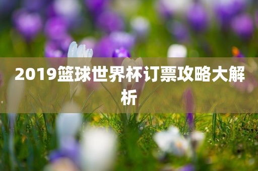 2019篮球世界杯订票攻略大解析眉山市正发家政服务有限公司