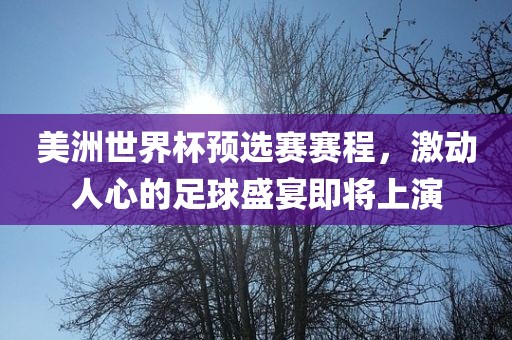 美洲世界杯预选赛赛程，激动人心的足球盛宴即将上演眉山市正发家政服务有限公司