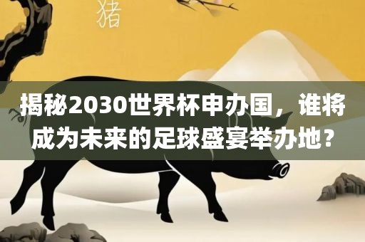 揭秘2030世界杯申办国，谁将成为未来的足球盛宴举办地？