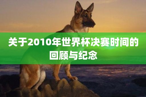 关于2010年世界杯决赛时间的回顾与纪念